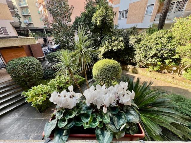 La Casa Delle Camelie Apartamento Roma Exterior foto